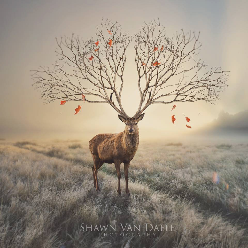 Fanshawe College — Digital Master Class - 4