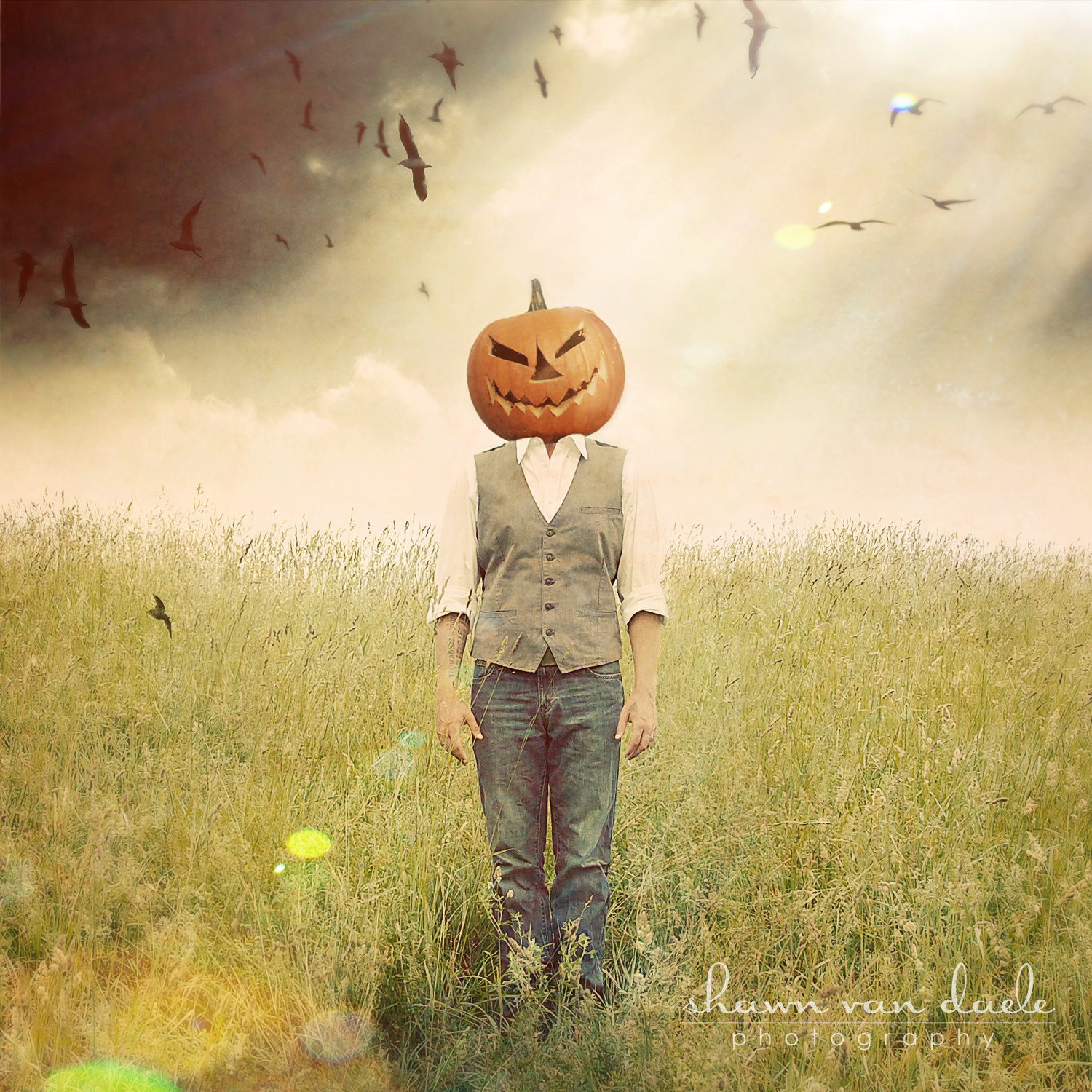 Select Photo Manipulations - 4