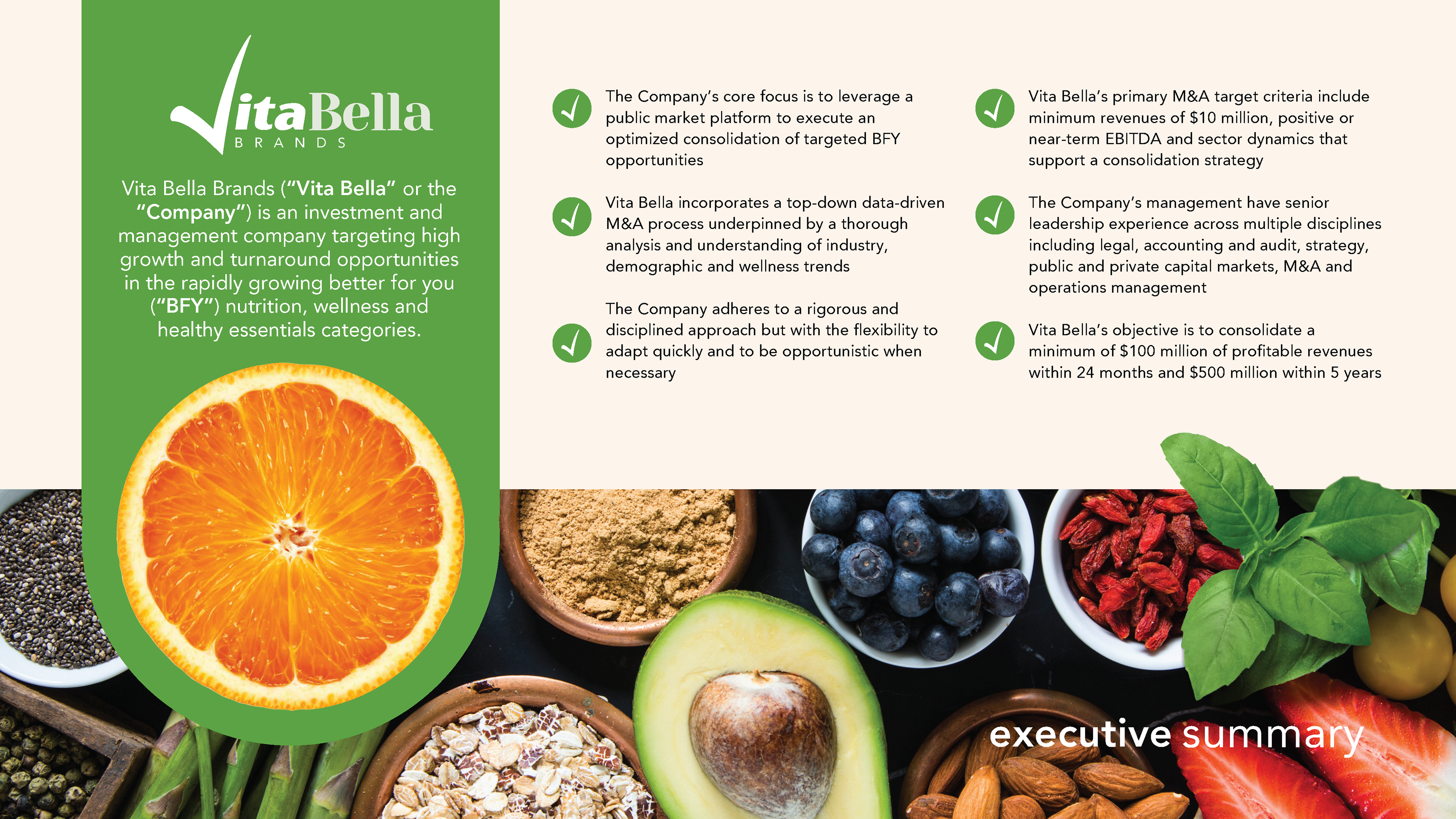 Vita Bella Brands — Logo & Brand Identity - 1