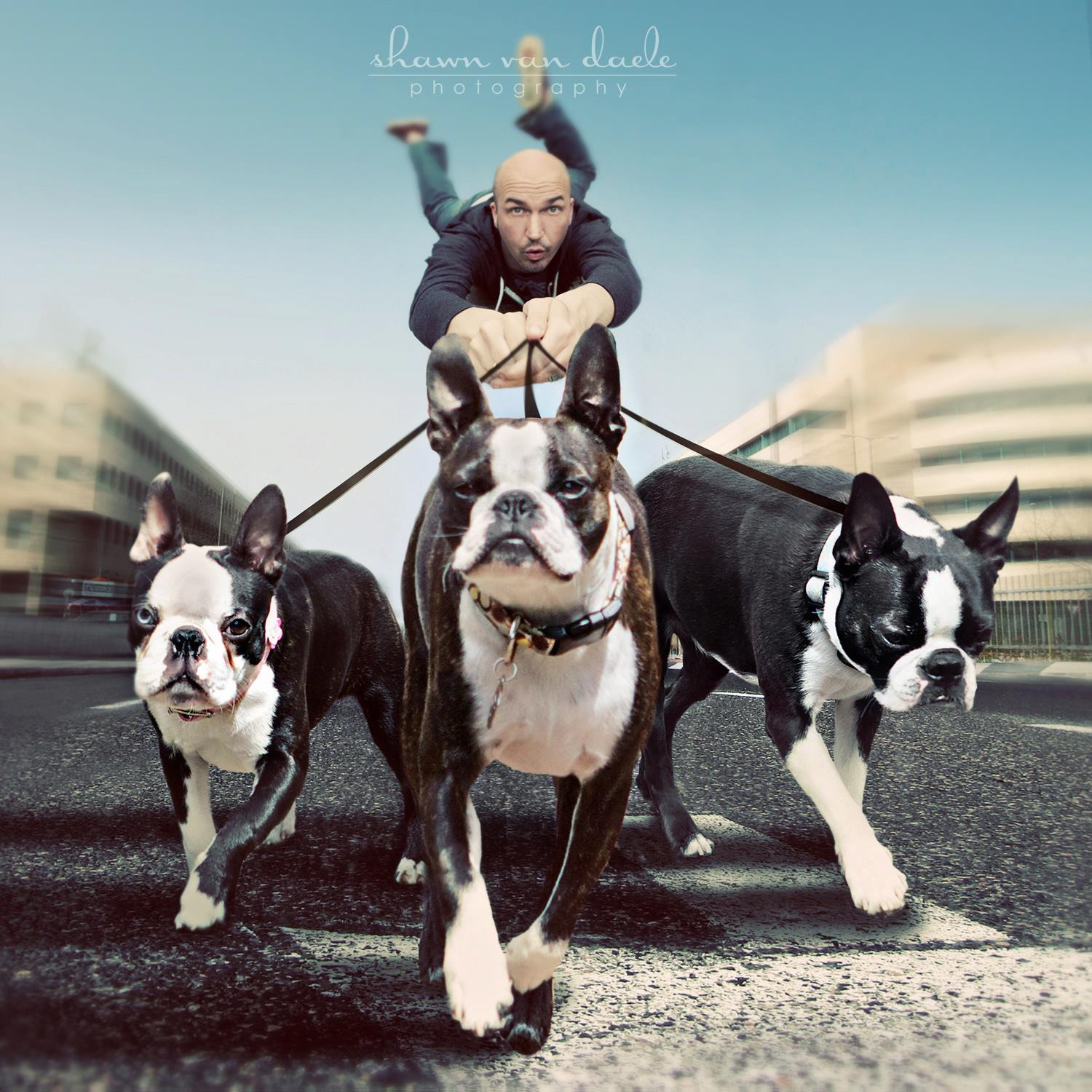 Select Photo Manipulations - 19